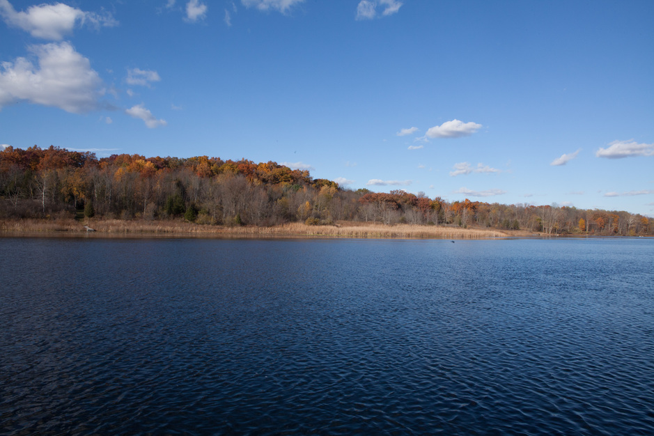 Iron Mill Pond