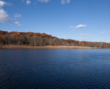 Pond | Glamping